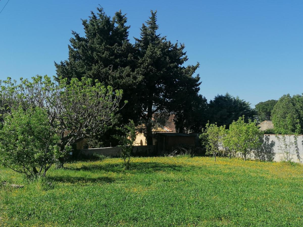 Villa Kps Pujaut Kültér fotó